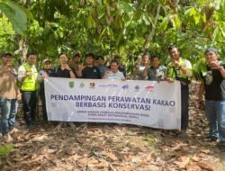 Konservasi di Kebun Cokelat, PT PAMA Site BRCB Latih Petani Kakao Tingkatkan Kualitas Panen