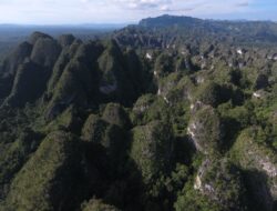 Penetapan Geopark Sangkulirang-Mangkalihat Perkuat Sektor Wisata