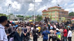 Pemprov akan Turunkan Tim Investigasi