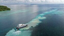 Aktivitas Wisata Jangan Rusak Objek Wisata, Pemkab Berau Sayangkan Insiden Kandasnya Kapal LOB