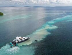Aktivitas Wisata Jangan Rusak Objek Wisata, Pemkab Berau Sayangkan Insiden Kandasnya Kapal LOB