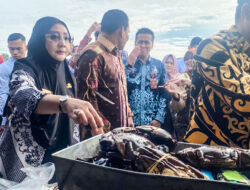 Cegah Inflasi hingga Turunkan Stunting