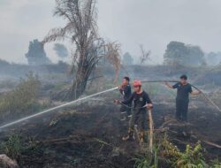 Pemprov Kaltara Ingatkan Warga Waspadai Karhutla