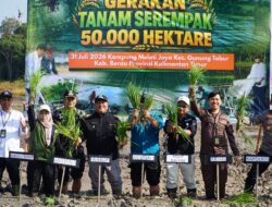 Gerakan Tanam Padi Serentak 50.000 Hektare, Berau jadi Andalan Swasembada