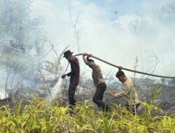 Ancaman Pidana untuk Pembakar Lahan