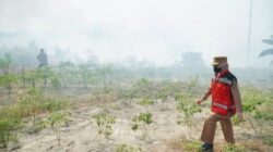 Atasi Karhutla di Berau, Sri Juniarsih Minta Bantuan BNPB Lakukan Water Bombing