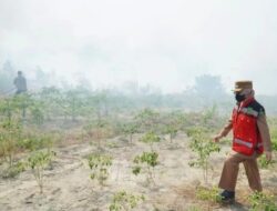Atasi Karhutla di Berau, Sri Juniarsih Minta Bantuan BNPB Lakukan Water Bombing