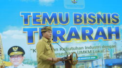 Kawasan Industri Peluang bagi UMKM