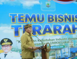 Kawasan Industri Peluang bagi UMKM