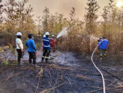 Dishut Perkuat Kesiapsiagaan, 282 Hotspot Terdeteksi hingga September