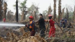 Hargai Dedikasi Relawan Karhutla, Bupati Berau Beri Penghargaan Atas Upaya Penanggulangan Karhutla
