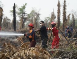 Hargai Dedikasi Relawan Karhutla, Bupati Berau Beri Penghargaan Atas Upaya Penanggulangan Karhutla