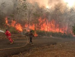 Karhutla Makin Menggila di Tabalar, Api Nyaris Lahap Kantor Camat hingga Paksa Warga Mengungsi