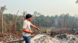 Polda Kaltara Selidiki Dugaan Tindak Pidana Karhutla