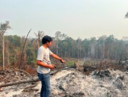 Polda Kaltara Selidiki Dugaan Tindak Pidana Karhutla