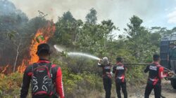 Polda Kaltara Padamkan Belasan Hektare Karhutla