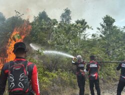 Polda Kaltara Padamkan Belasan Hektare Karhutla