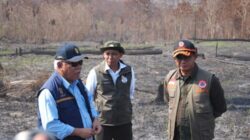 Tindak 3 Perusahaan Terkait Karhutla di Kaltim