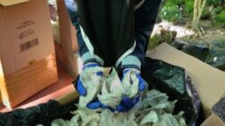 Potensi SBW Kaltara Dilirik, Dewan Dorong Pemprov Aktif Pasarkan