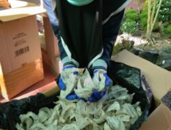 Potensi SBW Kaltara Dilirik, Dewan Dorong Pemprov Aktif Pasarkan