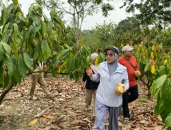 Bertolak ke Kementerian Lagi, Selaraskan Program Daerah dan Bawa Cokelat Berau Go International