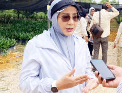 Terasi Lokal Ditarget Tembus Pasar Nasional