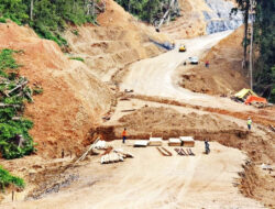 Butuh Anggaran Rp32 Triliun, Percepat Pembangunan Konektivitas di Perbatasan